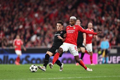 本菲卡 vs 博洛尼亚