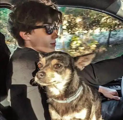 6686体育铜牌作者长辞笙