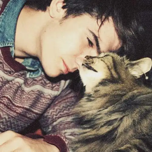 6686体育中级作者千里落花风