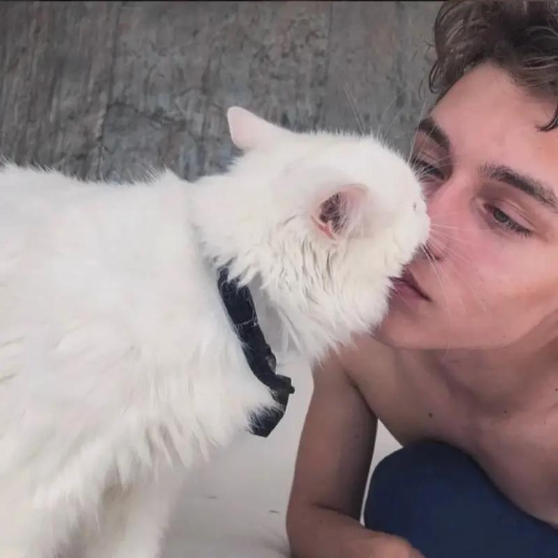 6686体育高级作者Logan